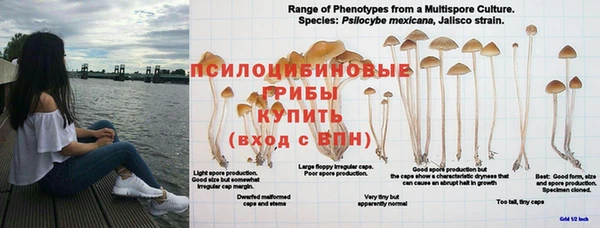 mdpv Алексеевка